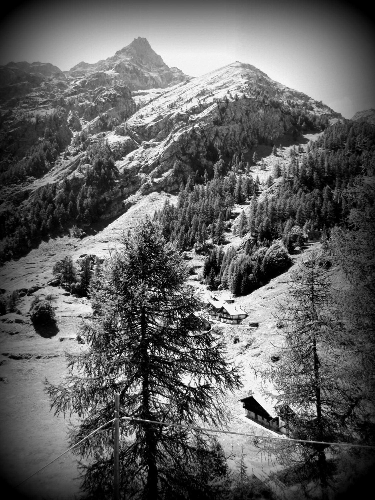 Il Piccolo Residence Gressoney-la-Trinité Exterior foto