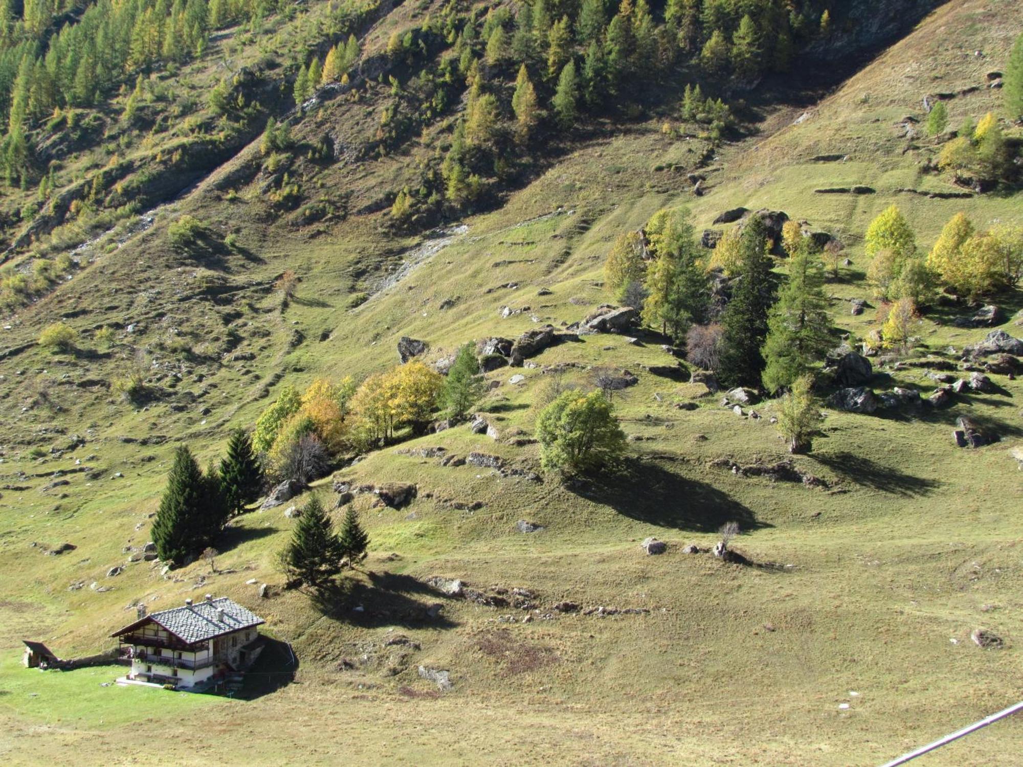 Il Piccolo Residence Gressoney-la-Trinité Exterior foto